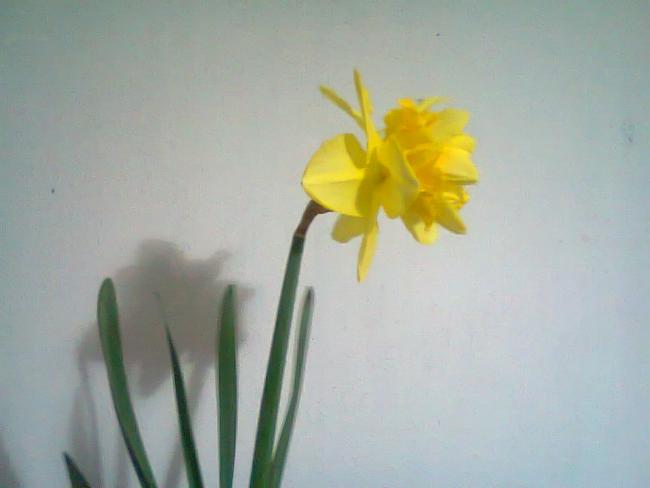 Name:  Fotoraf2101.jpg
Views: 694
Size:  20.8 KB