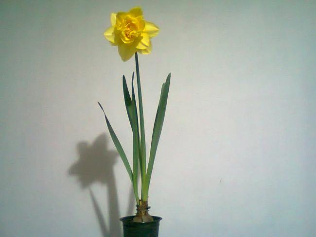 Name:  Fotoraf2106.jpg
Views: 681
Size:  19.5 KB
