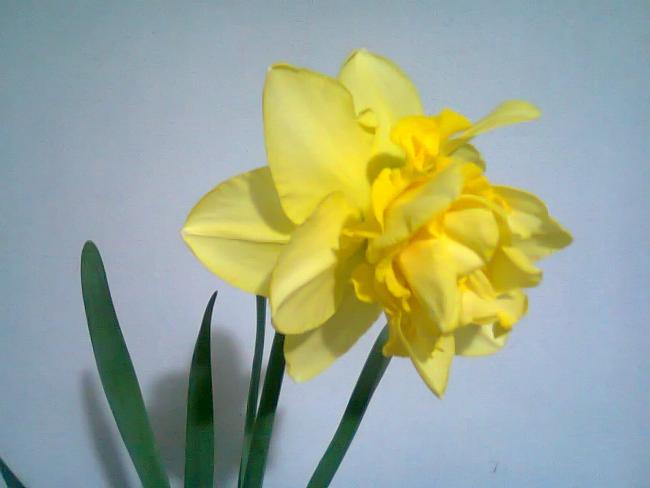 Name:  Fotoraf2108.jpg
Views: 721
Size:  23.4 KB