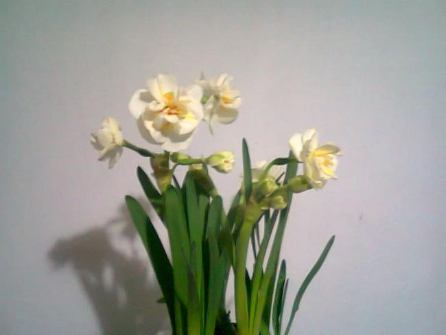 Name:  Fotoraf2104.jpg
Views: 705
Size:  23.5 KB