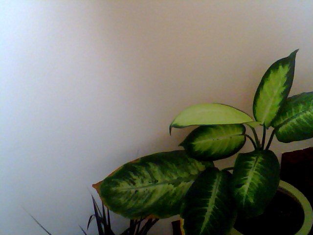 Name:  Snapshot_20130326.JPG
Views: 2204
Size:  36.1 KB