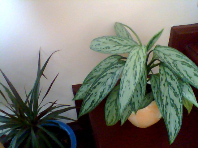 Name:  Snapshot_20130326_1.JPG
Views: 2922
Size:  53.6 KB