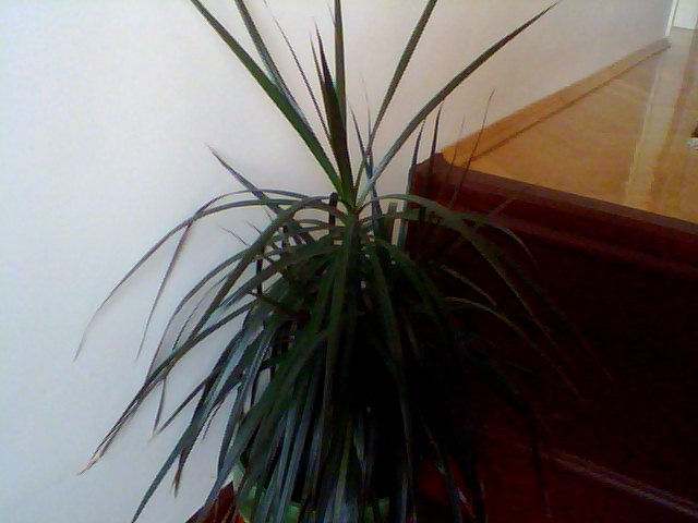 Name:  Snapshot_20130326_2.JPG
Views: 2391
Size:  46.4 KB