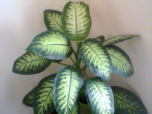 Name:  Snapshot_20130326_4.JPG
Views: 2585
Size:  62.7 KB