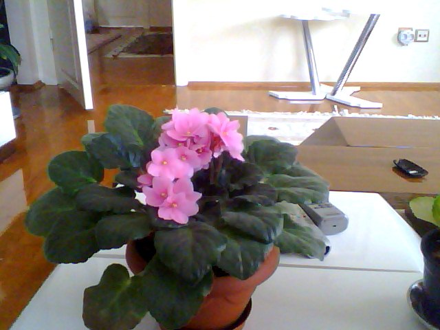 Name:  Snapshot_20130326_16.JPG
Views: 2427
Size:  53.6 KB