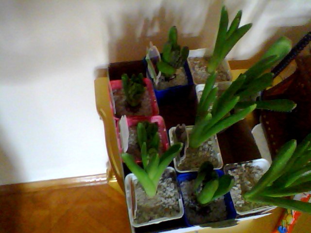 Name:  Snapshot_20130326_13.JPG
Views: 2662
Size:  53.6 KB