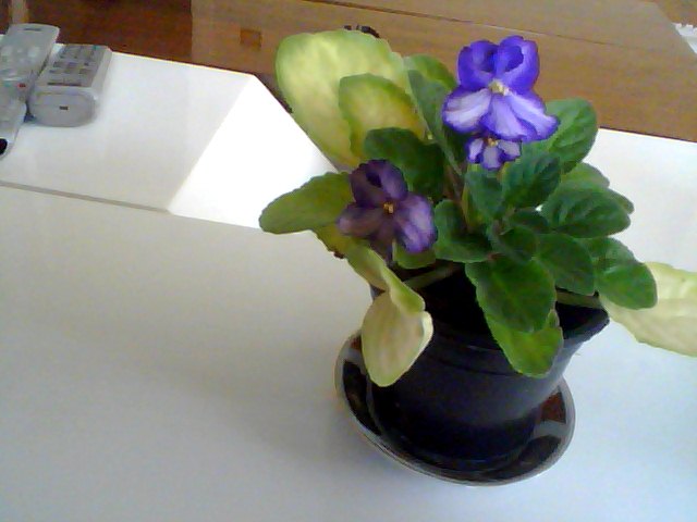 Name:  Snapshot_20130326_20.JPG
Views: 2325
Size:  42.3 KB
