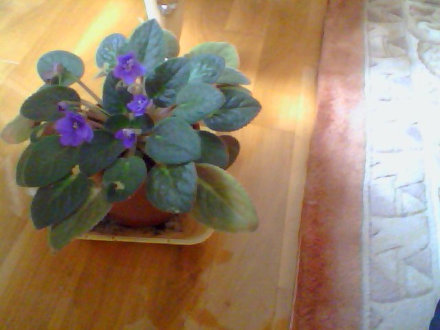 Name:  Snapshot_20130326_34.JPG
Views: 2159
Size:  46.1 KB