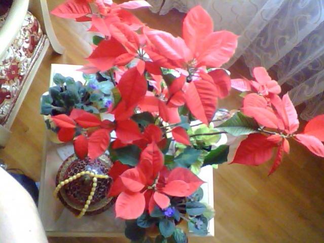 Name:  Snapshot_20130326_32.jpg
Views: 2590
Size:  48.0 KB