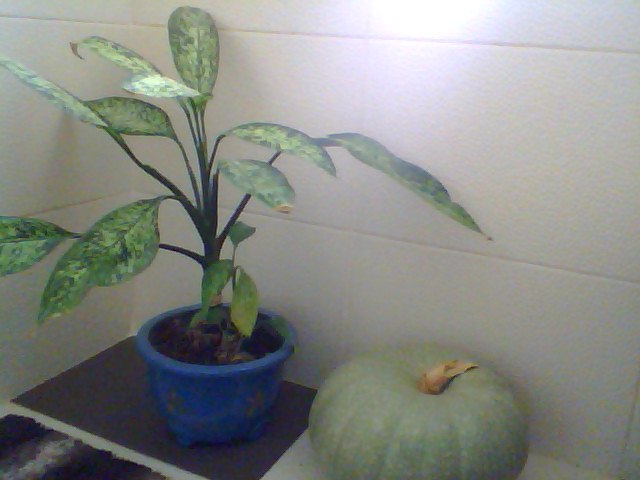 Name:  Snapshot_20130326_60.JPG
Views: 2253
Size:  43.2 KB