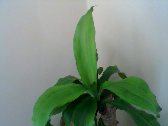Name:  Snapshot_20130326_55.JPG
Views: 2321
Size:  31.7 KB