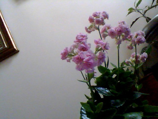 Name:  Snapshot_20130326_40.JPG
Views: 2079
Size:  48.1 KB