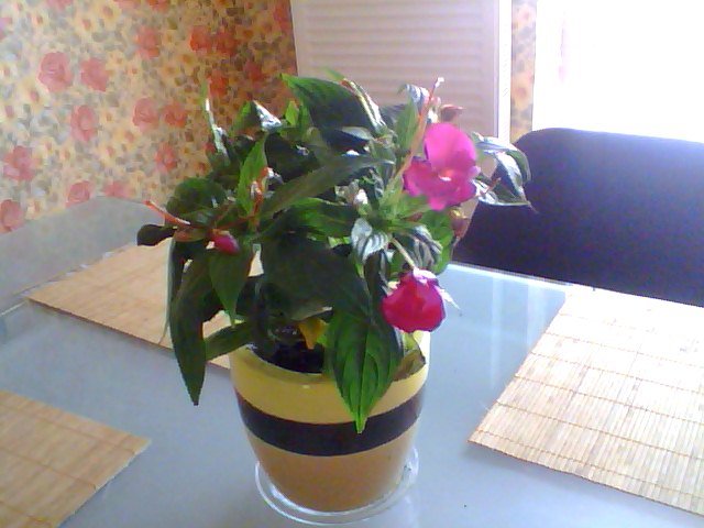 Name:  Snapshot_20130326_15.JPG
Views: 2405
Size:  55.3 KB
