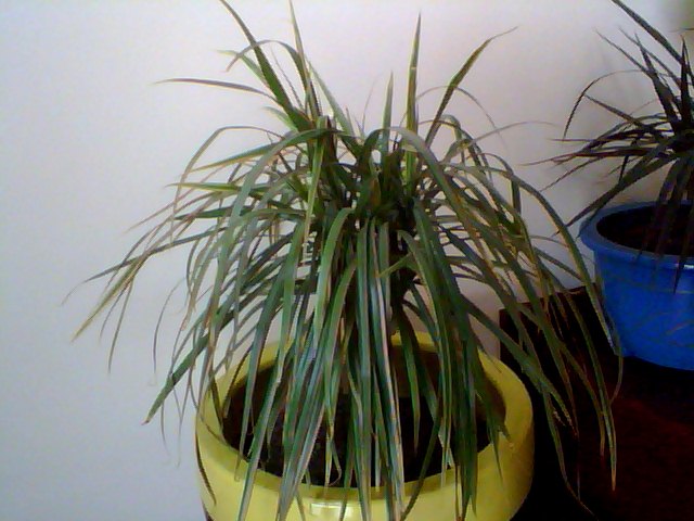 Name:  Snapshot_20130326_56.JPG
Views: 2278
Size:  65.1 KB
