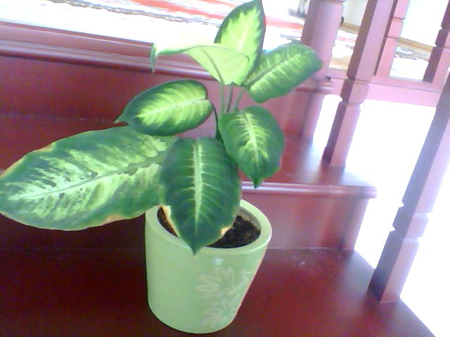 Name:  Snapshot_20130326_63.JPG
Views: 2309
Size:  53.0 KB
