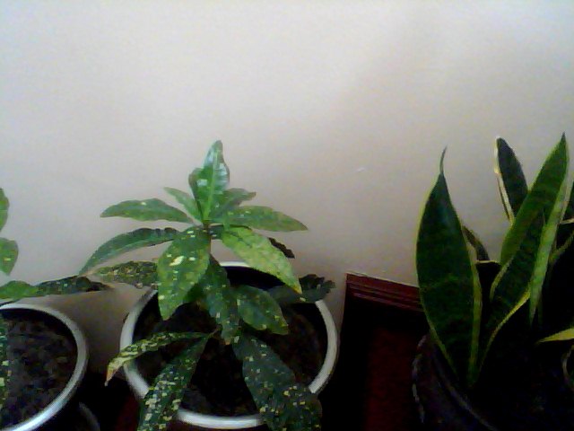 Name:  Snapshot_20130326_67.JPG
Views: 2243
Size:  44.1 KB