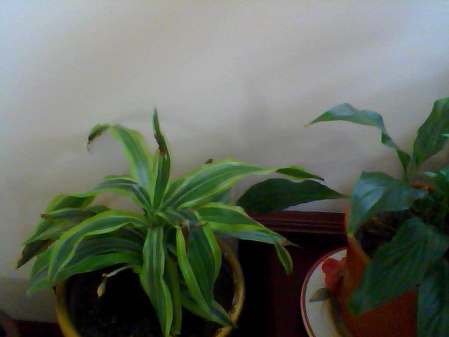 Name:  Snapshot_20130326_71.JPG
Views: 2281
Size:  38.4 KB