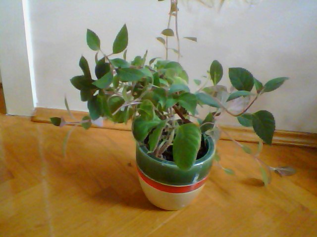 Name:  Snapshot_20130326_72.JPG
Views: 2278
Size:  45.1 KB
