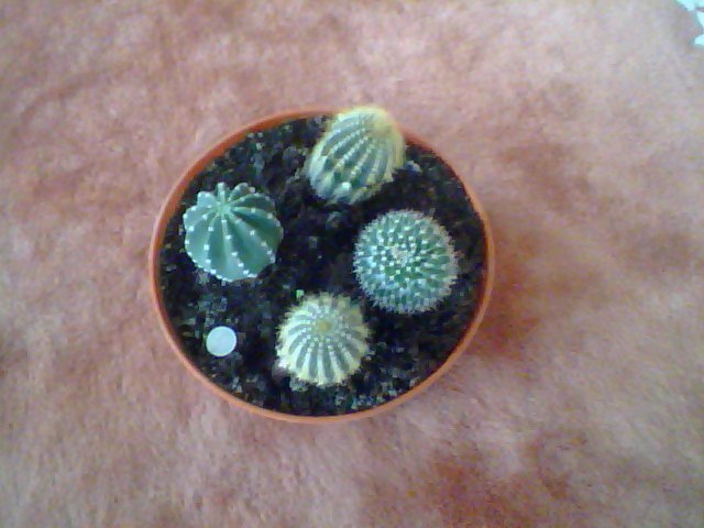 Name:  Snapshot_20130326_82.JPG
Views: 2083
Size:  54.0 KB