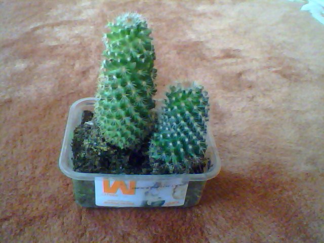Name:  Snapshot_20130326_86.JPG
Views: 2051
Size:  61.3 KB