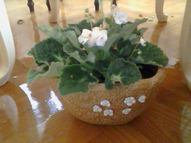 Name:  Snapshot_20130326_89.JPG
Views: 2064
Size:  52.7 KB