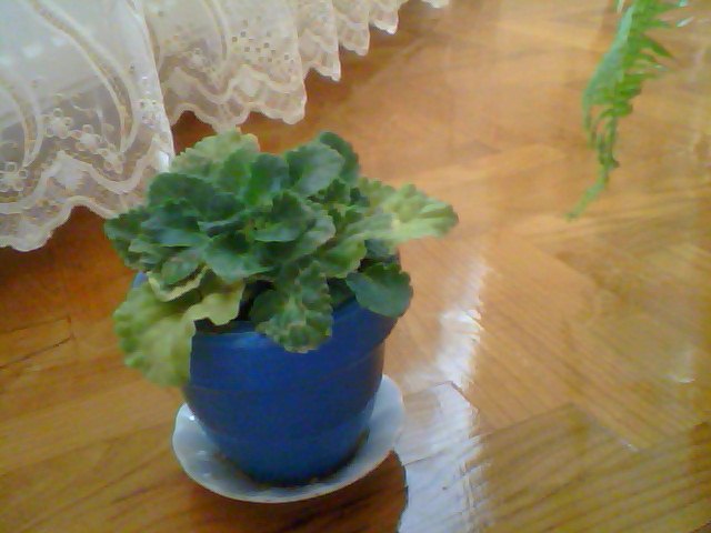 Name:  Snapshot_20130326_91.JPG
Views: 2052
Size:  46.9 KB