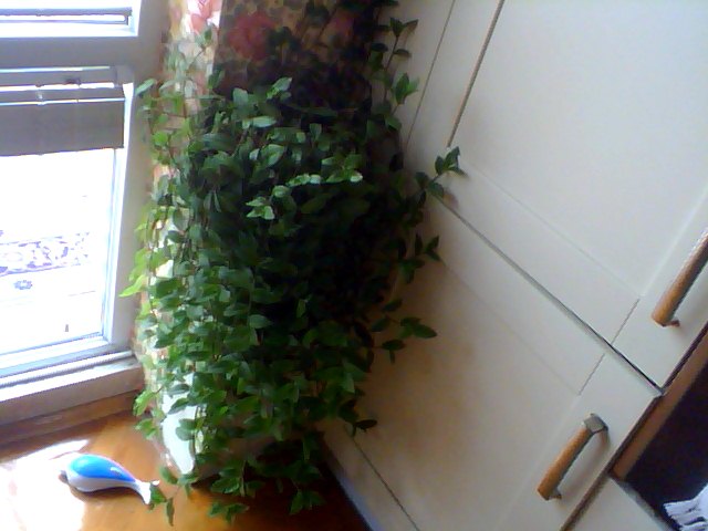 Name:  Snapshot_20130326_97.JPG
Views: 2027
Size:  52.1 KB