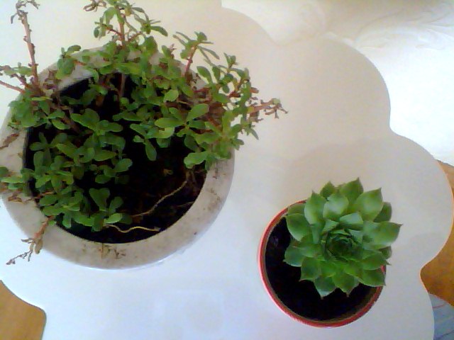 Name:  Snapshot_20130326_95.JPG
Views: 2119
Size:  53.5 KB