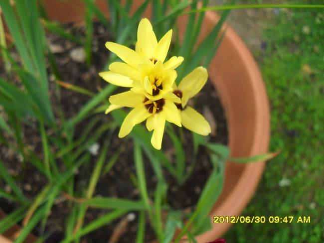 Name:  005.jpg
Views: 504
Size:  35.2 KB