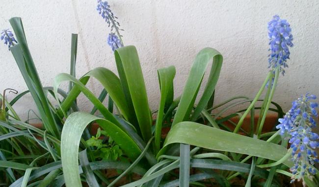 Name:  020420131161.jpg
Views: 752
Size:  44.4 KB