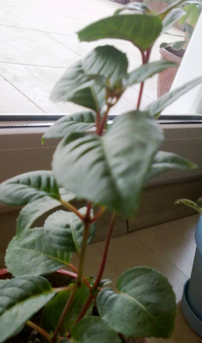 Name:  020420131164.jpg
Views: 783
Size:  67.9 KB