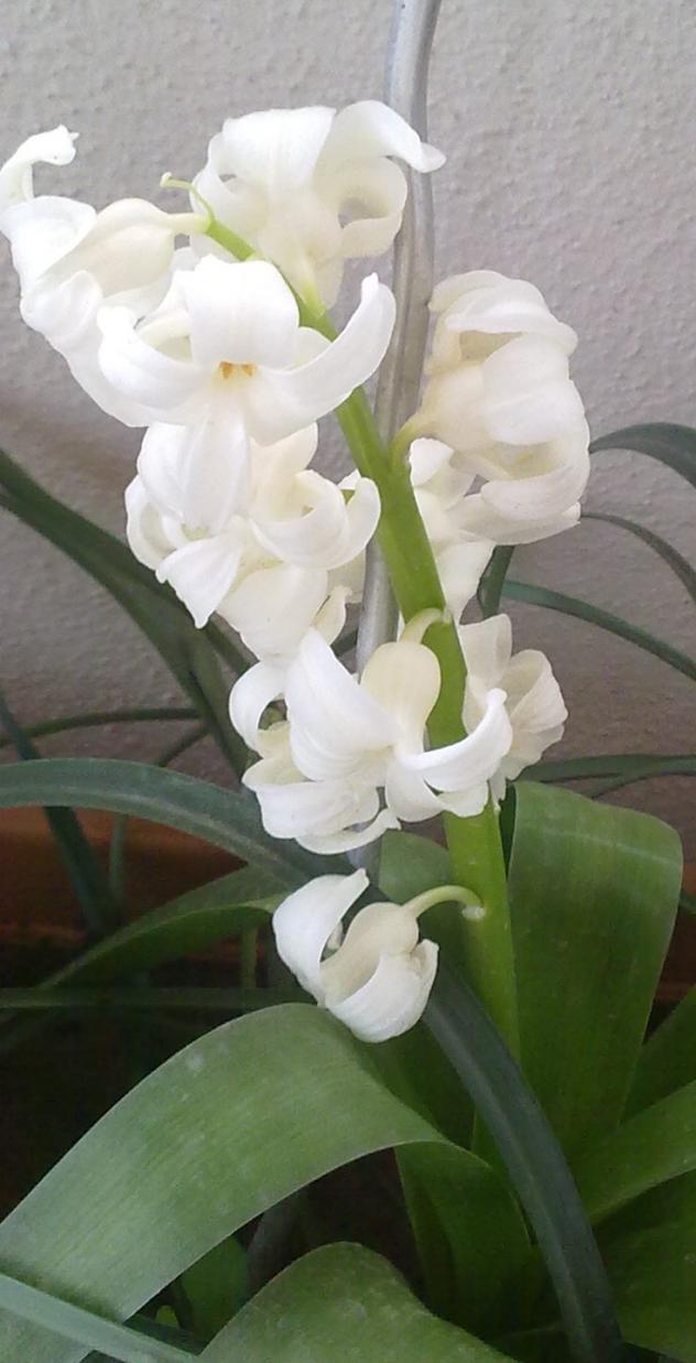 Name:  170320131148.jpg
Views: 757
Size:  70.8 KB