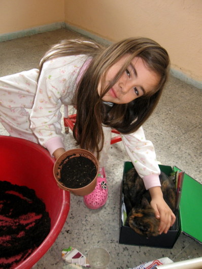Name:  IMG_9249.JPG
Views: 1958
Size:  64.2 KB