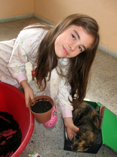 Name:  IMG_9250.JPG
Views: 1740
Size:  62.7 KB