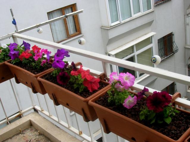 Name:  DSCN3081.jpg
Views: 1869
Size:  48.2 KB