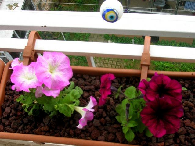Name:  DSCN3082.jpg
Views: 1828
Size:  48.1 KB