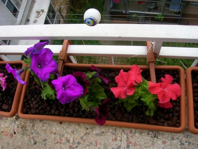 Name:  DSCN3083.jpg
Views: 1869
Size:  52.0 KB