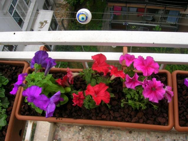 Name:  DSCN3084.jpg
Views: 1828
Size:  53.1 KB