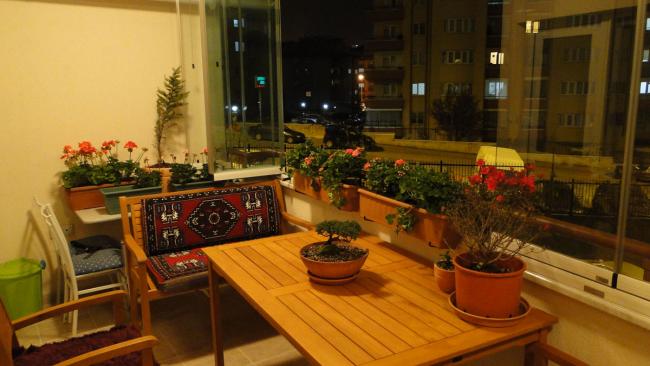 Name:  104.jpg
Views: 1719
Size:  39.1 KB