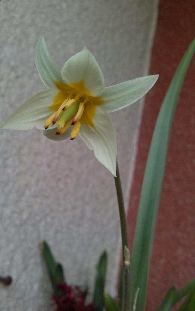 Name:  aviary_1365692780069.jpg
Views: 670
Size:  42.4 KB