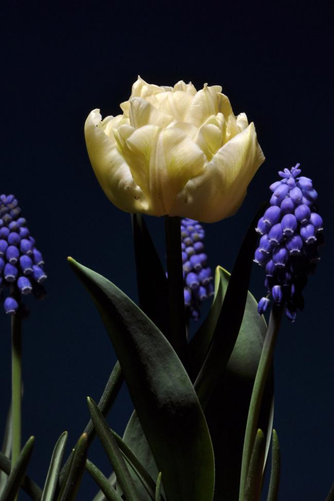 Name:  DSC_9358 copy.jpg
Views: 427
Size:  44.3 KB