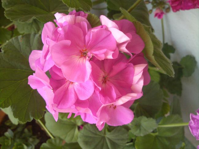 Name:  090420134030.jpg
Views: 2357
Size:  37.9 KB