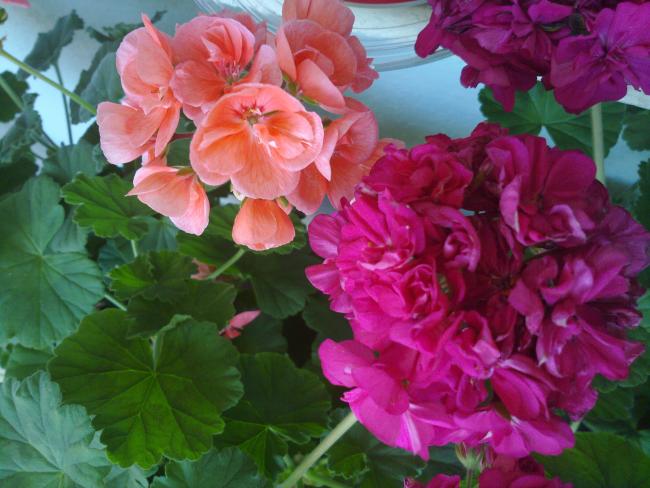 Name:  090420134033.jpg
Views: 2424
Size:  49.0 KB