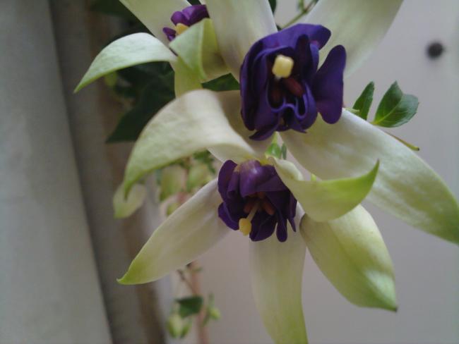 Name:  220420134204.jpg
Views: 2110
Size:  24.4 KB