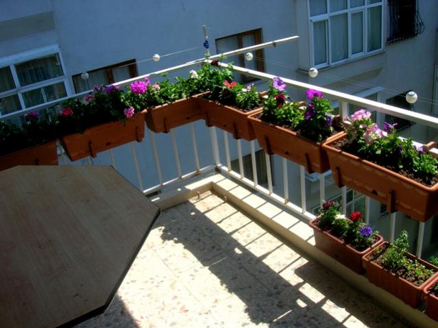 Name:  DSCN3194.jpg
Views: 1708
Size:  48.9 KB