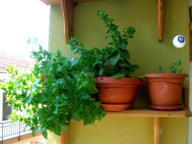 Name:  DSCN3199.jpg
Views: 1724
Size:  40.4 KB