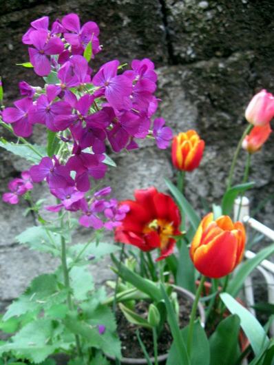Name:  562759_10150704408628143_691004709_n.jpg
Views: 1335
Size:  42.1 KB