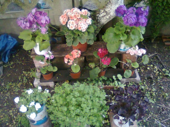 Name:  Fotoraf2176.jpg
Views: 561
Size:  69.6 KB