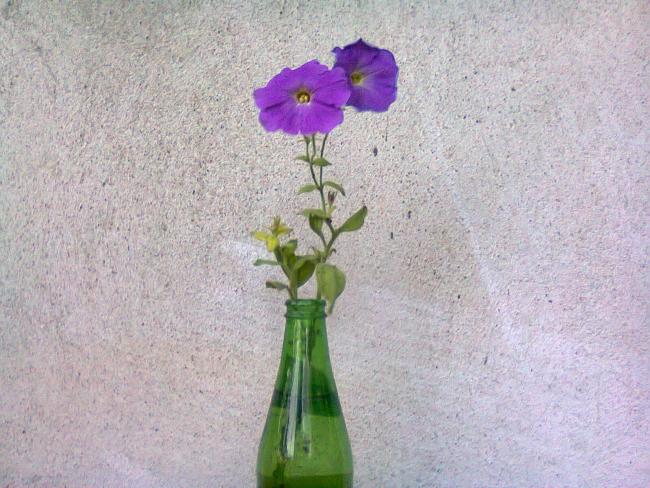 Name:  Fotoraf2233.jpg
Views: 646
Size:  61.5 KB