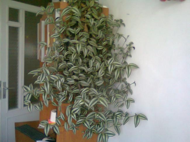 Name:  Fotoraf2289.jpg
Views: 629
Size:  39.6 KB